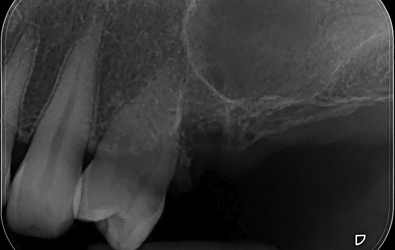 73644 170131_servizi